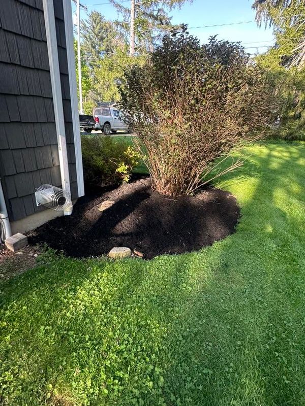 Landscape Design