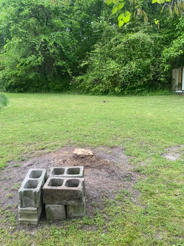 Tree Removal gallery