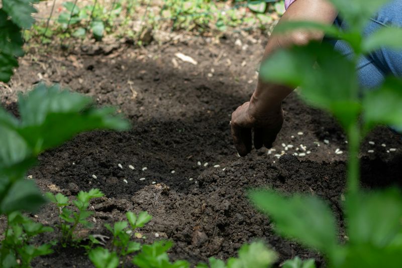 Garden Maintenance