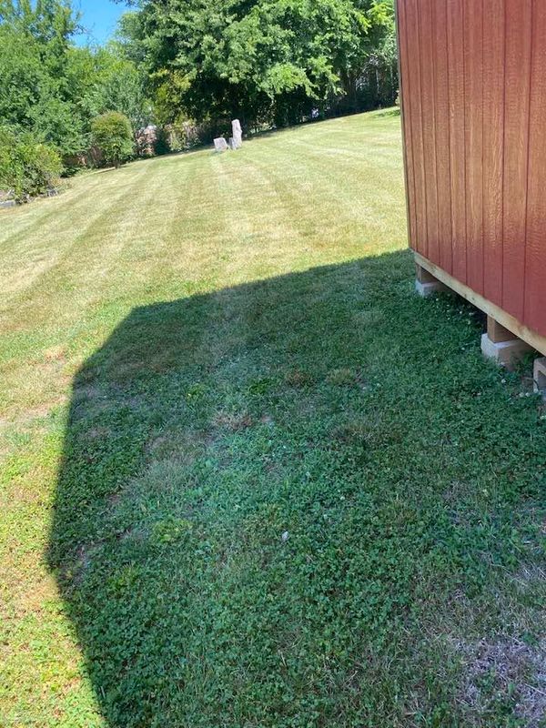 Lawn Maintenance