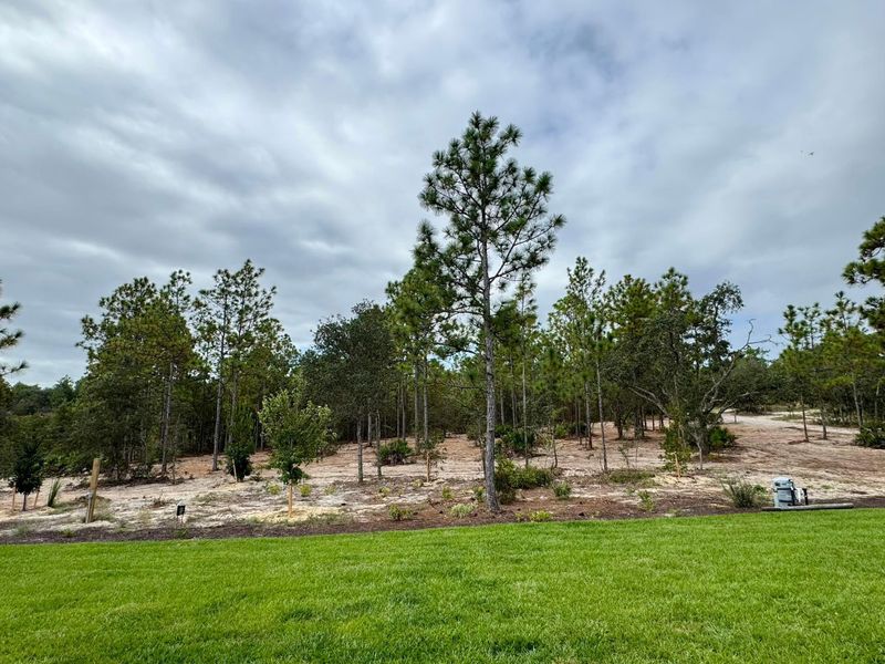 Site Preparation