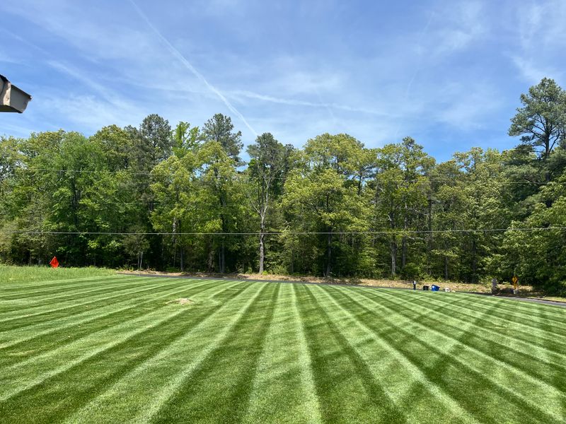 Lawn Care