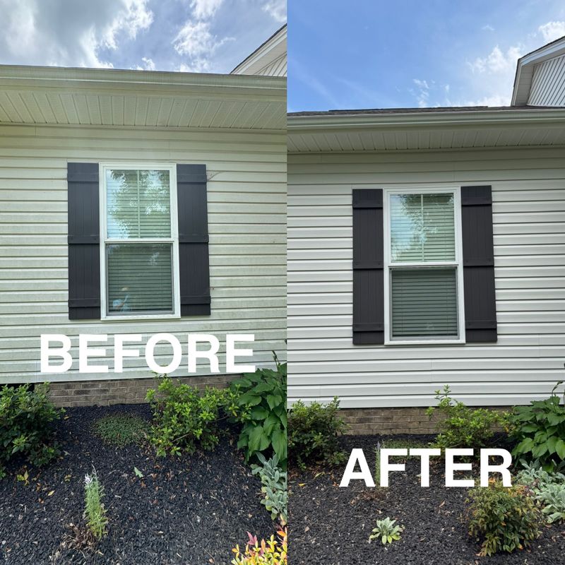 Pressure Washing 