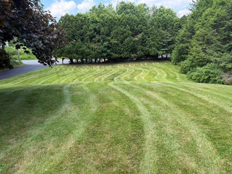 Lawn Maintenance