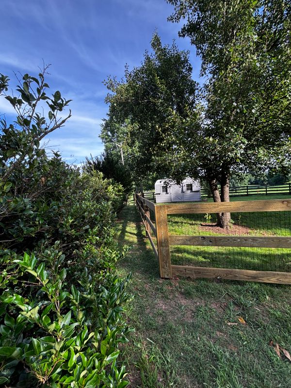 Wooden Fencing