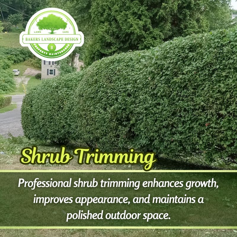 Shrub Trimming