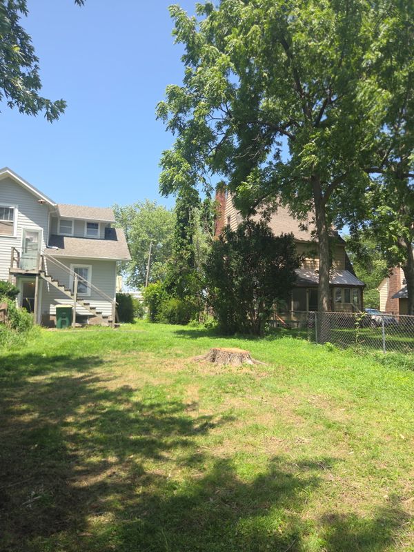Tree Removal