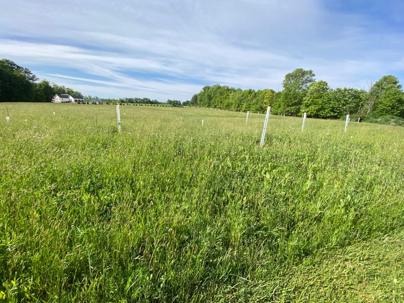 Wildlife Management Projects