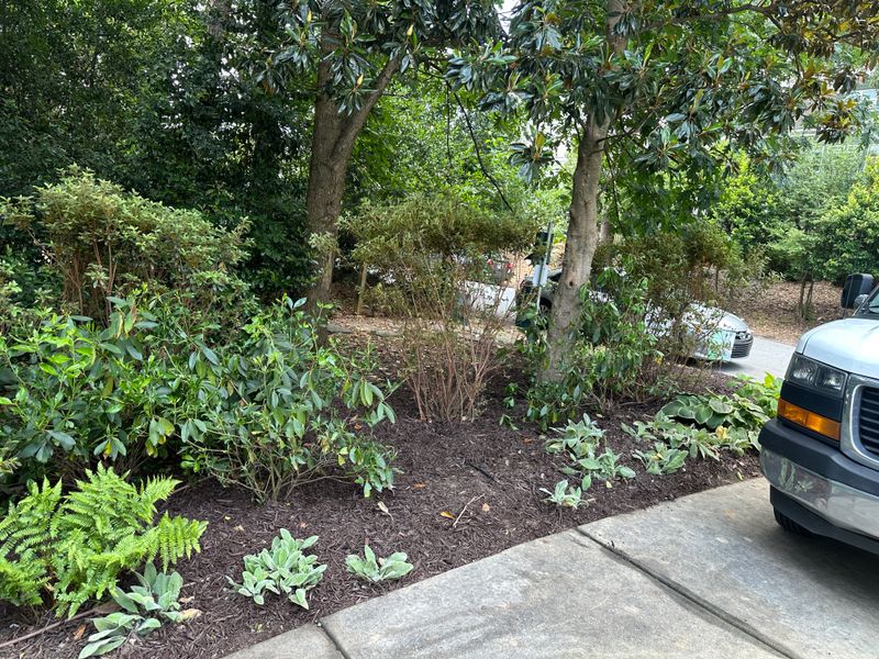 Lawn Care & Maintenance