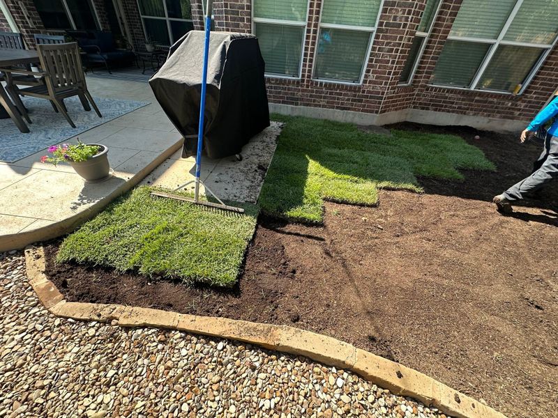 Landscape Design & Installation