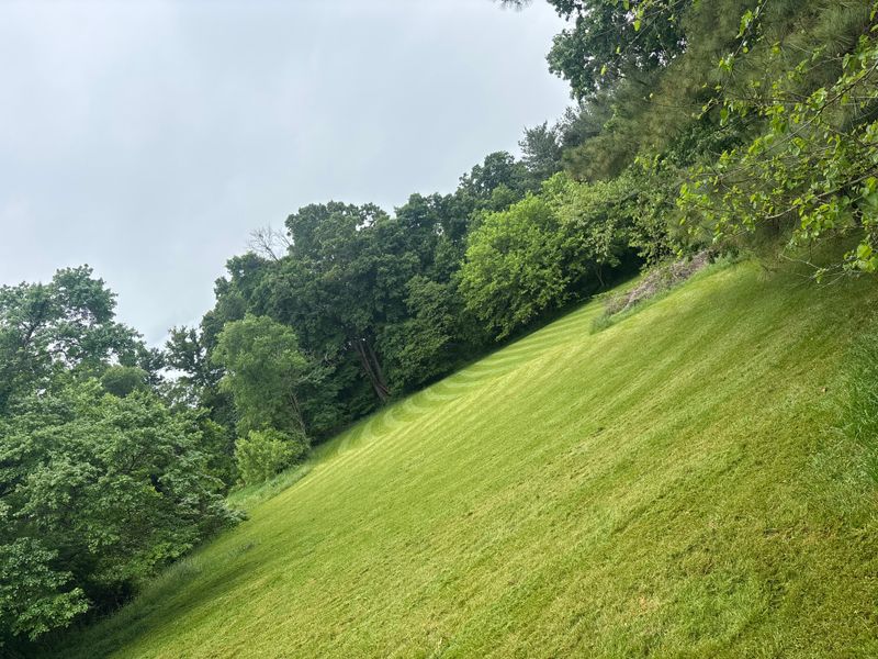 Lawn Maintenance
