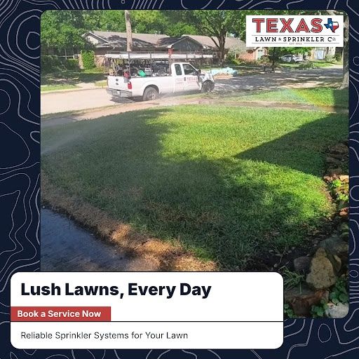 Lawn Maintenance
