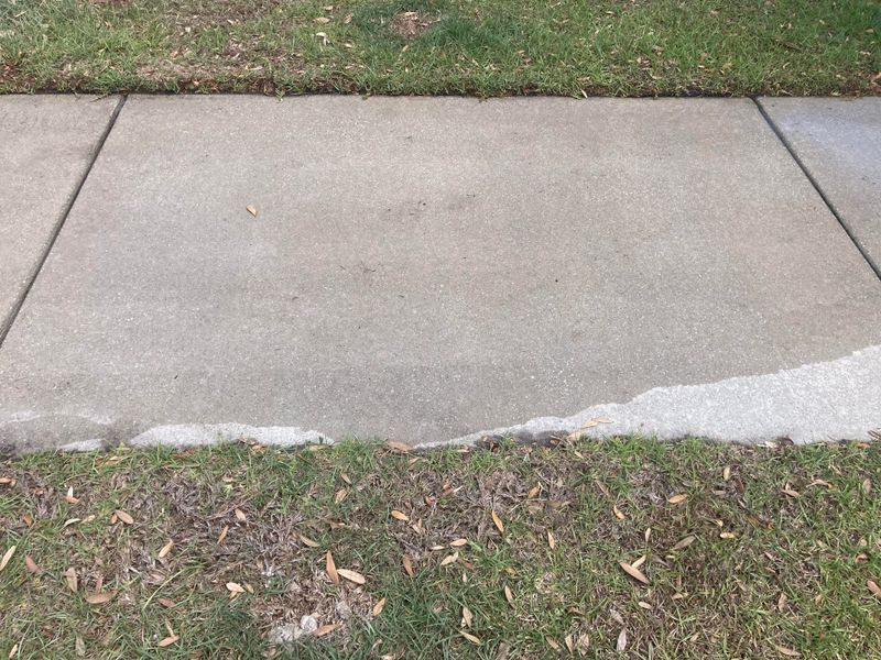 Exterior Cleaning