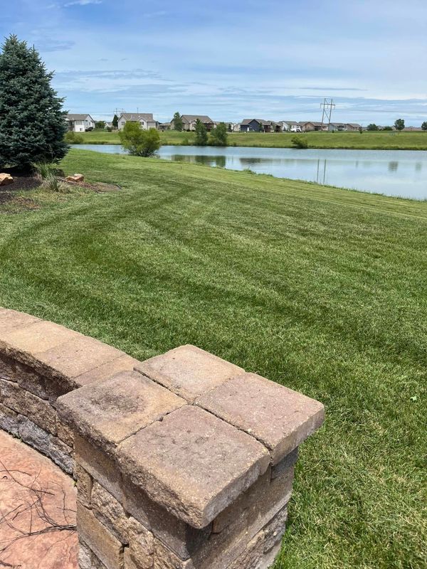 Lawn Maintenance