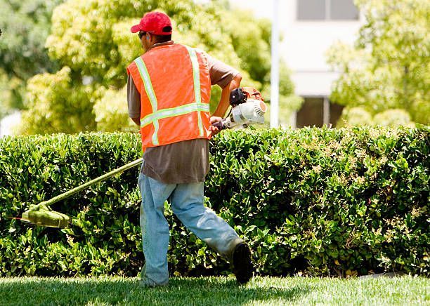 Landscape Management Service