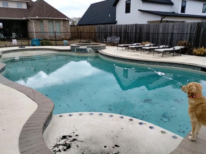 Pool Construction gallery