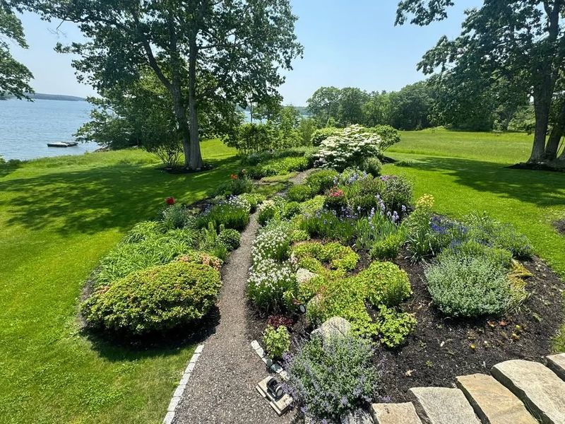 Garden Design Consultation