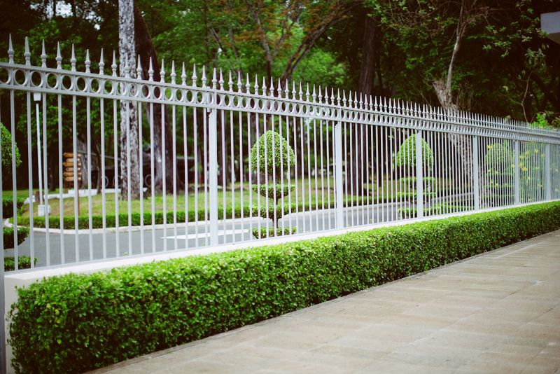 Fencing