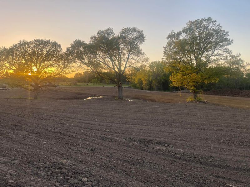 Site Preparation