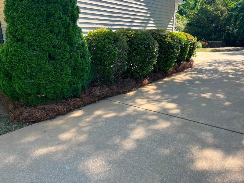 Landscape Design & Installation