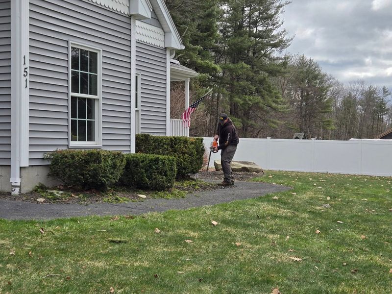 Landscaping