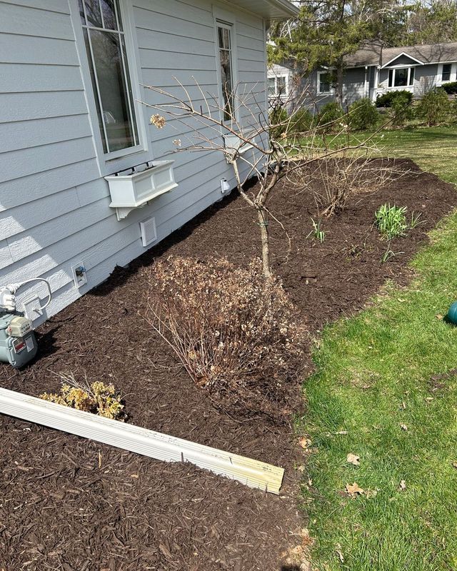 Edging & Borders