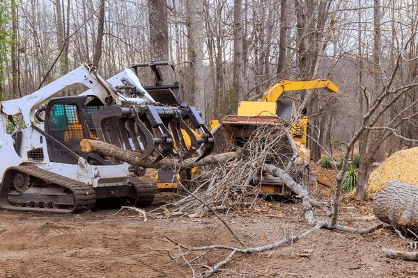 Land Clearing