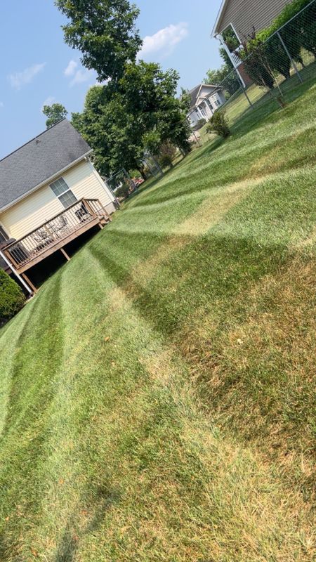 Lawn Services