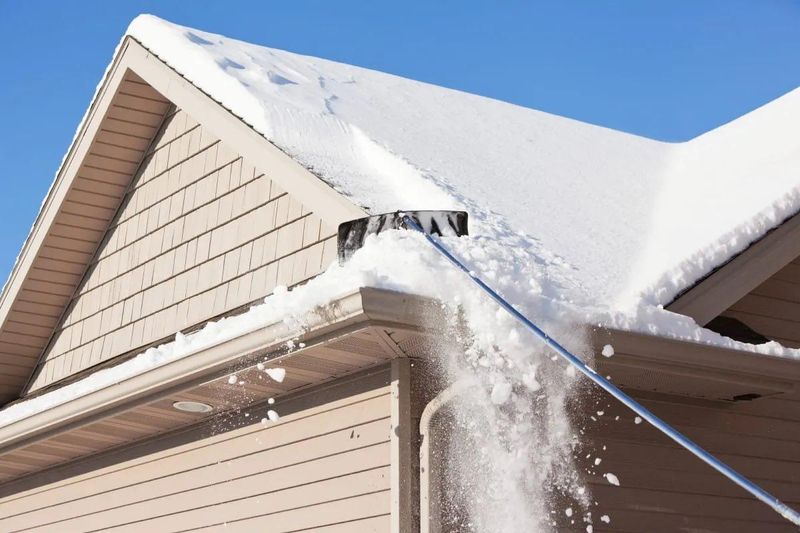Snow Removal 