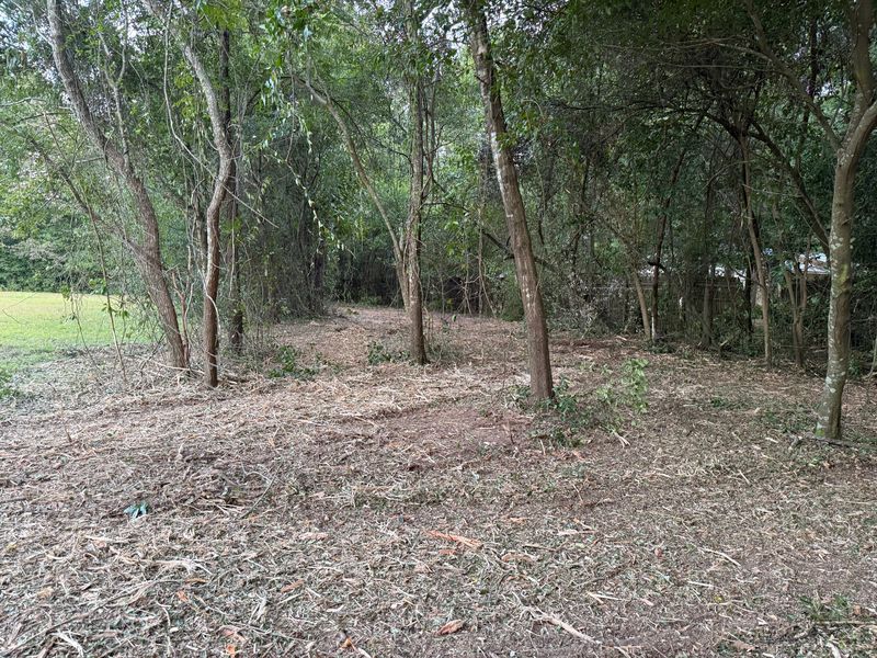 Land Clearing