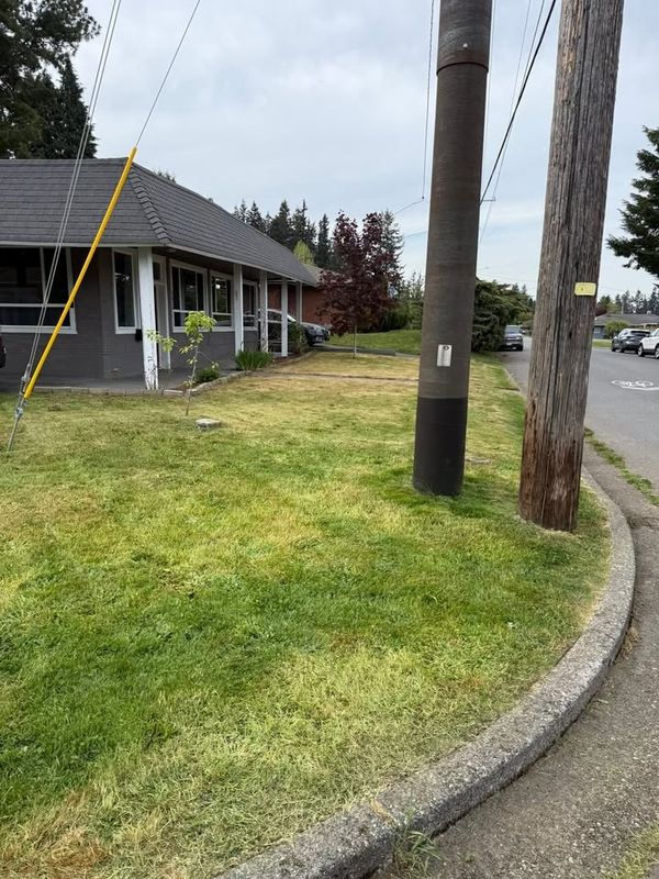 Lawn Maintenance