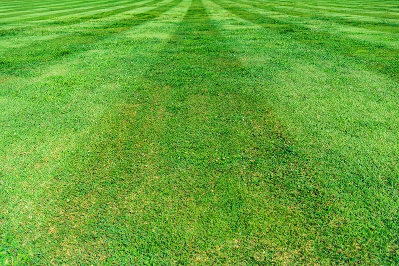 Lawn Maintenance