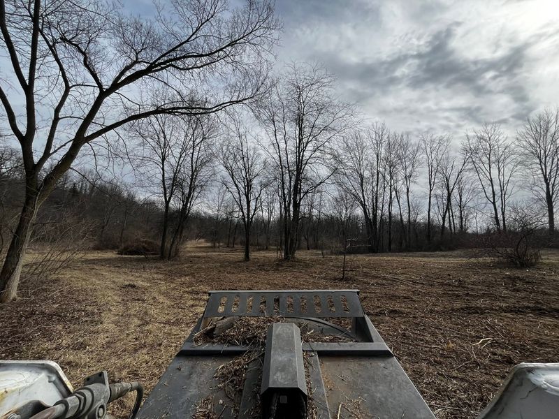 Land Clearing