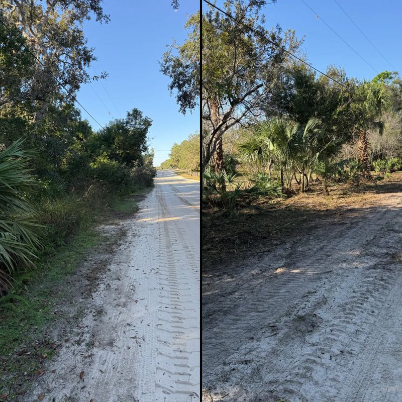 Land Clearing
