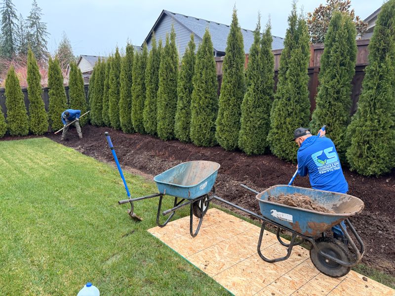 Shrub Trimming