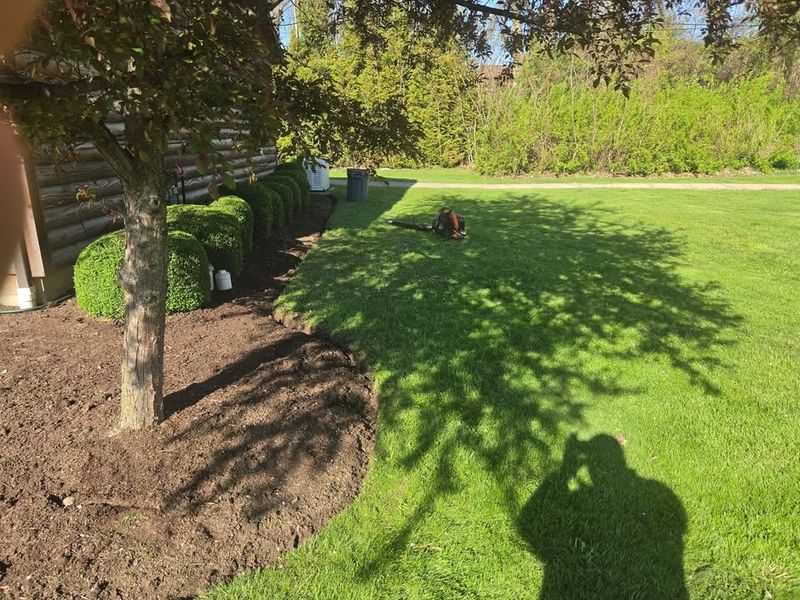 Landscaping