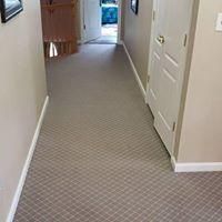 Professional Carpet installation