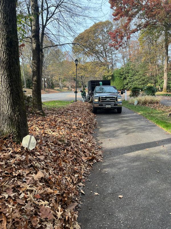 Fall Clean Up
