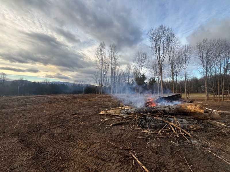 Land Clearing