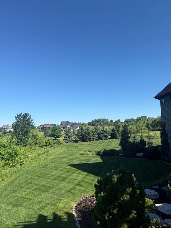 Lawn Maintenance