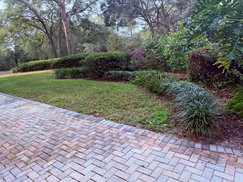 Mulch Installation