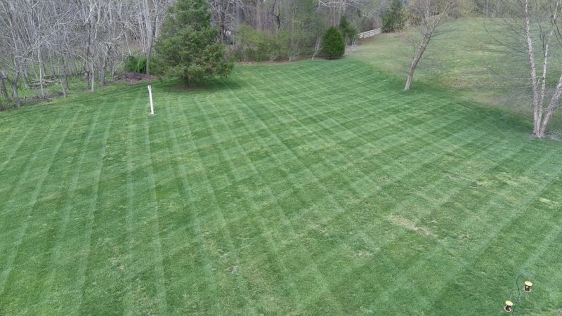 Lawn Maintenance