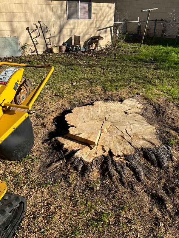 Stump Removal