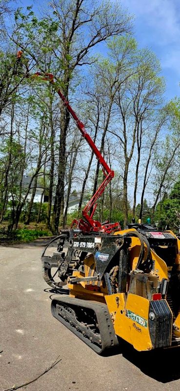 Tree Removal