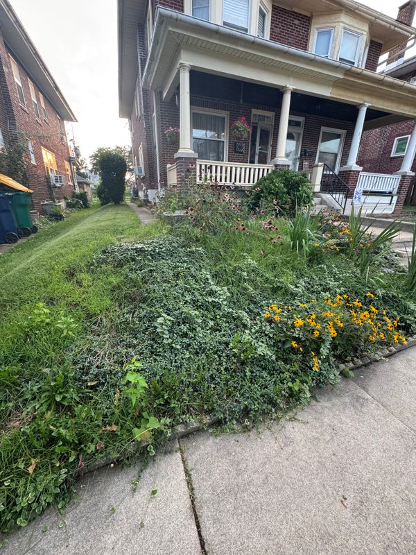 Landscape Designs