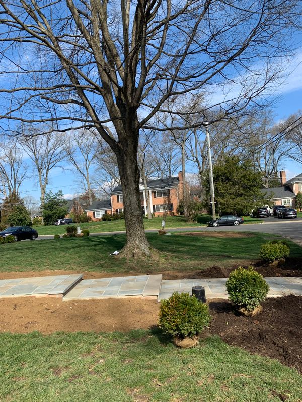 Lawn Care & Maintenance