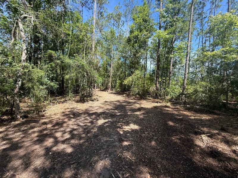 Land Clearing