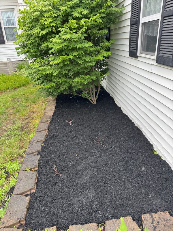 Mulching