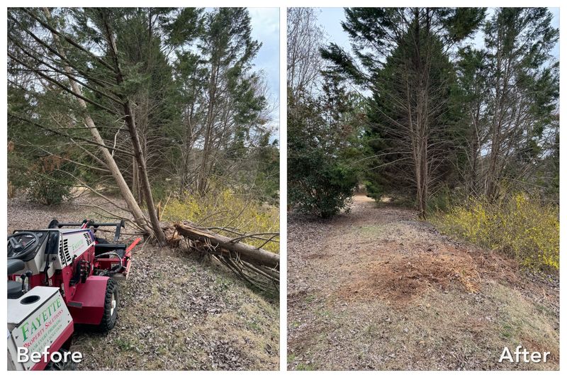Before and After