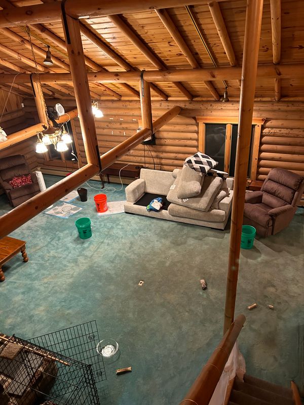 Interior Renovations